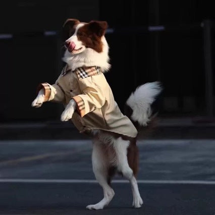 Kool Designer Dog shirt