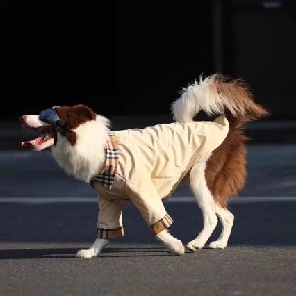Kool Designer Dog shirt