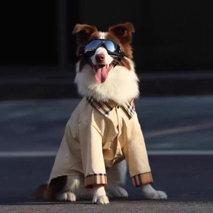 Kool Designer Dog shirt