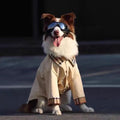 Kool Designer Dog shirt