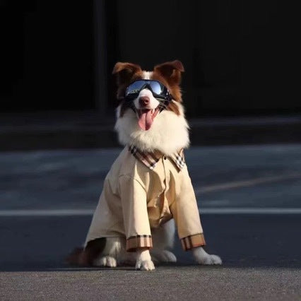 Kool Designer Dog shirt